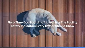 First-Time Dog Boarding? IL Pro Lists The Facility Safety Indicators Every Owner Should Know