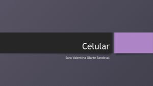 Diapositiva Del Celular Calameo