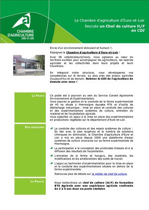 28 Offre Emploi Chef De Culture
