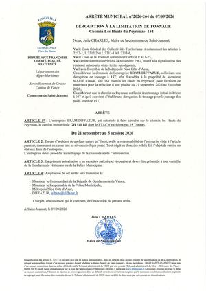 Am N°2026 264 Dt 15t Chem Peyrouas Diffazur Mari
