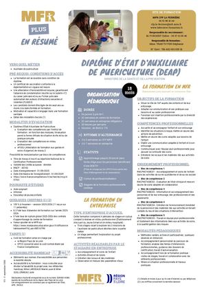 Diplôme d'Etat d'Auxiliaire de Puériculture