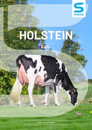 Holstein Bull Catalogue ISU