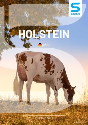 Holstein Bull Catalogue RZG