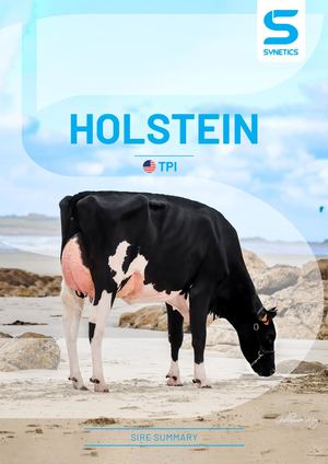 Holstein Bull Catalogue TPI