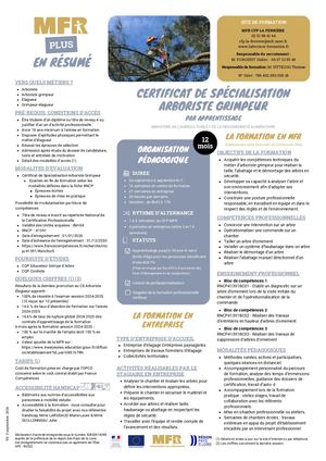 CS Arboriste grimpeur