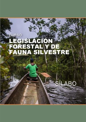 Silabo 2026 Lffs