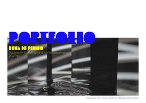 Portfolio Luna De Pinho