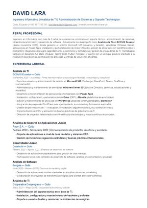 CV David Lara