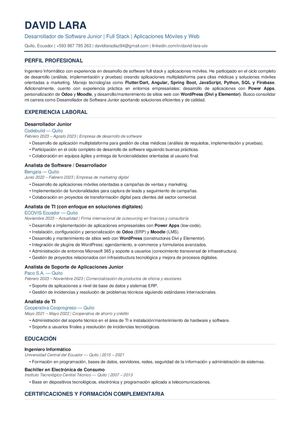 CV David Lara Diaz