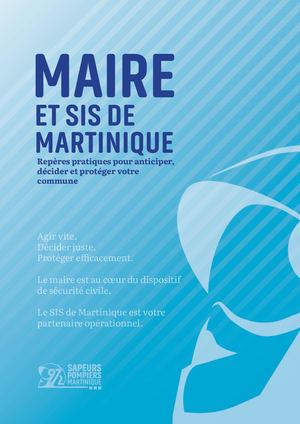 Plaquette Du Maire