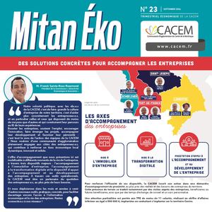 Cacem Mitaneko N7