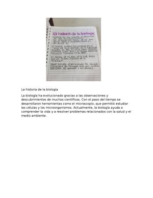 Documento (1) (1)