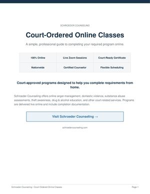 Schroeder Counseling 4 Page Booklet