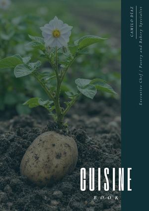 Cuisine Book