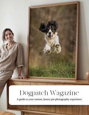 Dogpatch Wagazine Guide-