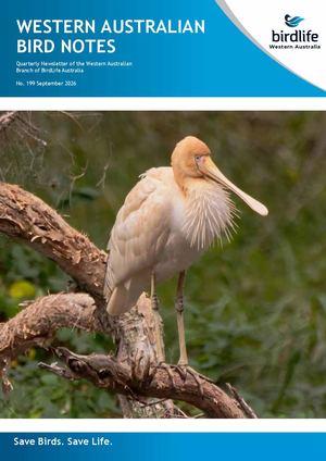 Wabn 199 Sept 2026 E Version