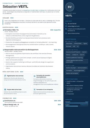 Cv Veitl Sebastien