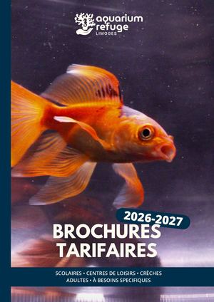 Brochure Tarifaire 2026 2027 Scolaires