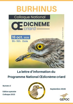Burhinus #3 - Spécial Colloque