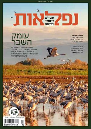 נפלאות 23, תשרי תשפ"ז