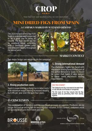 Edc Espagne Figues Septembre 2026 En