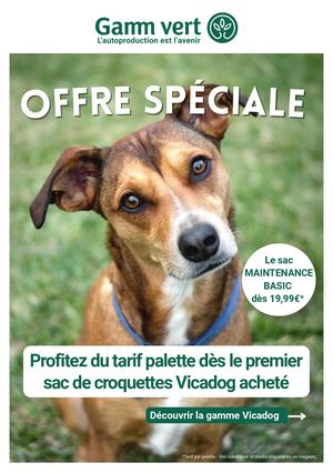 Flyer Vicadog Gv 08092026