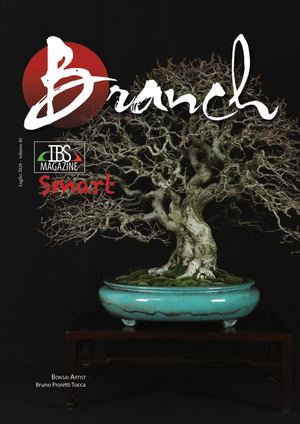 Branch Luglio 2026 Smart