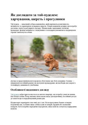 Як доглядати за той пуделем харчування, шерсть і прогулянки