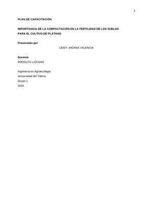 Plan De Capacitacion.