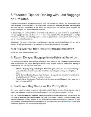 Emirates Airlines Lost Baggage: Tracking and Reporting Tips