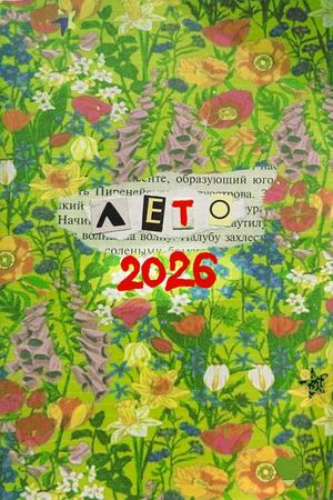 Тупенький зин лета 2026 стрекозы