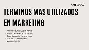 Publicitario Terminos