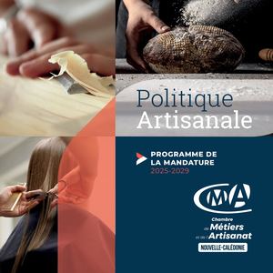 Politique Artisanale