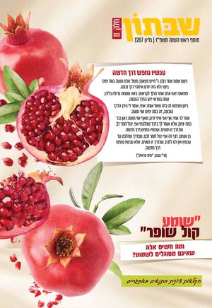 1287magazin Rohash