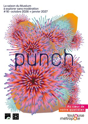 Punch 16