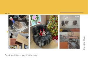 Orange And White Simple Minimalist Photography Portfolio Online (2)