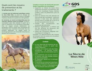 La Fièvre De West Nile Vf