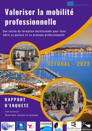Enquete Sociologique Sur Les Apports Dune Mobilite De Professionnel Les