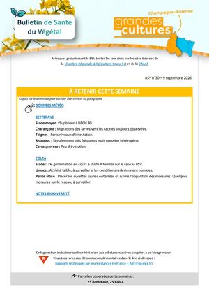 Bsv30 Gc Cha S37 2026
