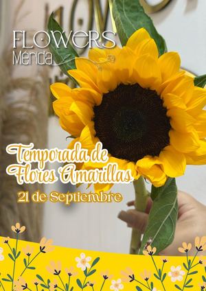 Catalogo De Flores Amarillas 21 De Septiembre 2026