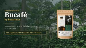 Portafolio Bucafé Final