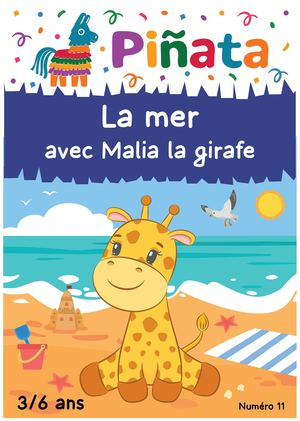 Magazine Mer