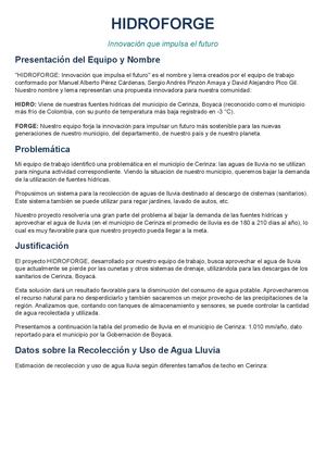Hidroforge Proyecto Definitivo Docx 20260907 162044 0000