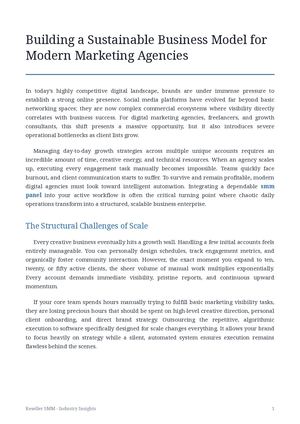Smm Agency Growth Insights