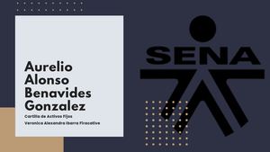 Cartilla Activos Fijos