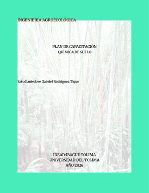 Quimica Del Suelo