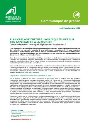 Cp Plan Casi