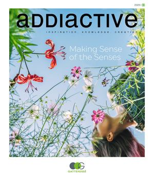Addiactive 132 - English version