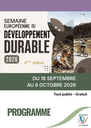 Flyer Sdd 2026 Def