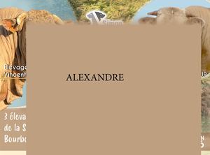 ALEXANDRE Vincent -  Cowllection 2026 - Simon Genetic